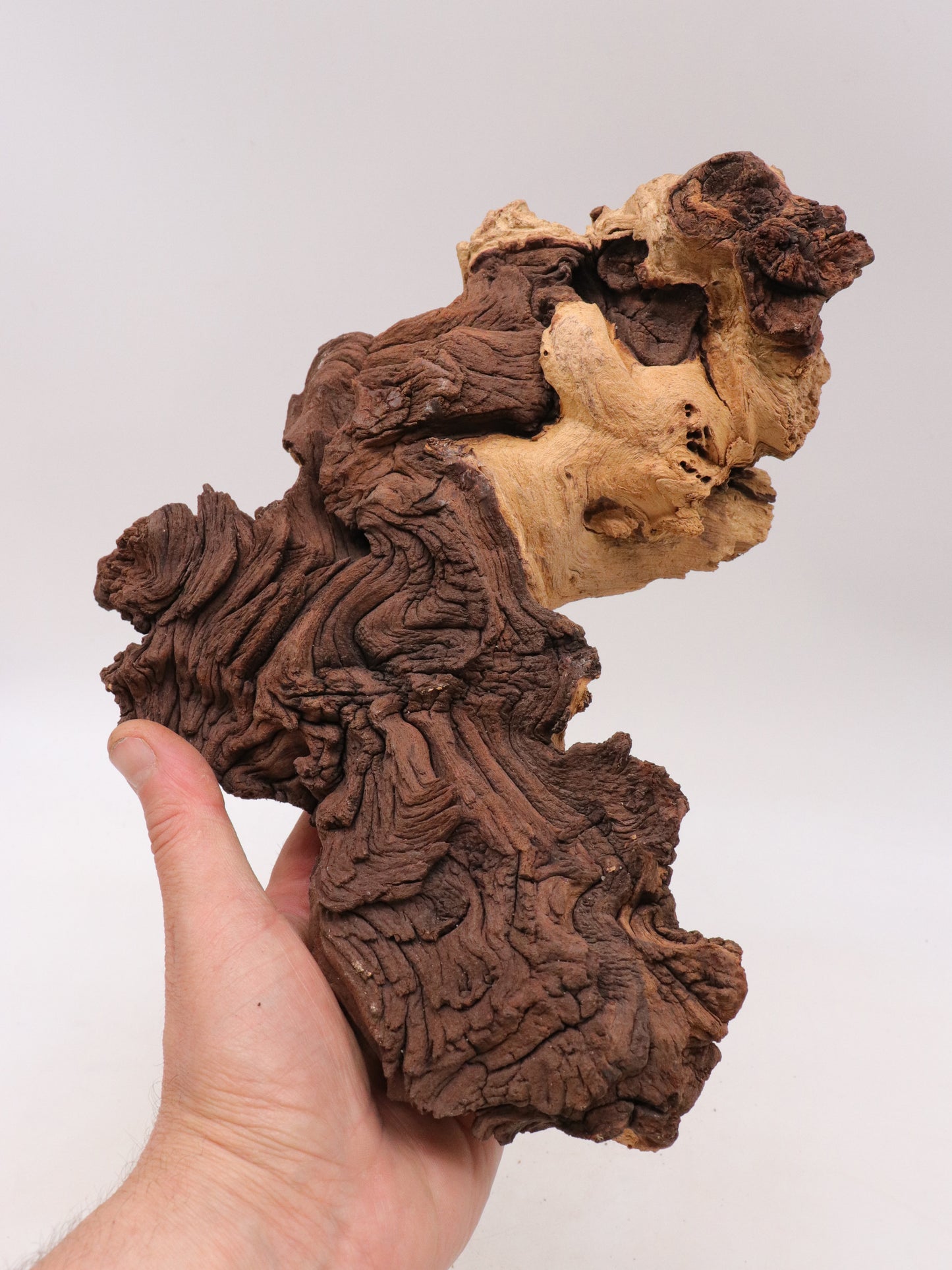 Mopani wood 20-30 cm